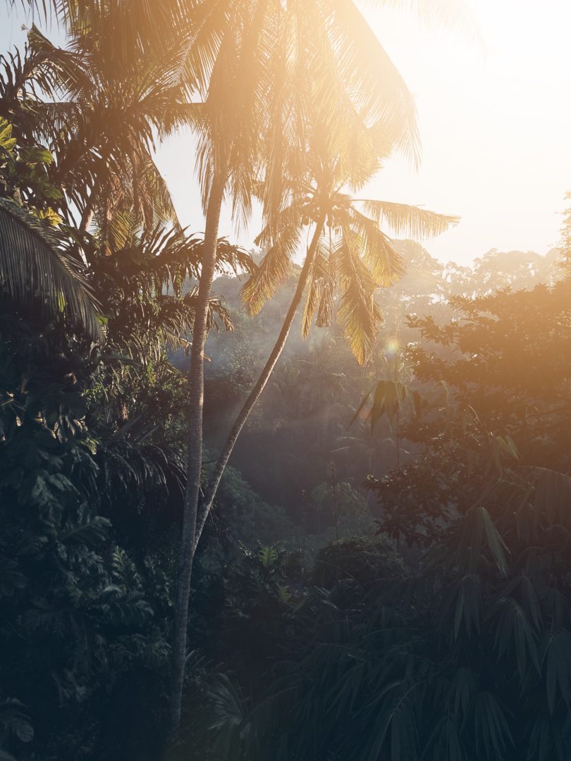 Why I love Ubud, Bali